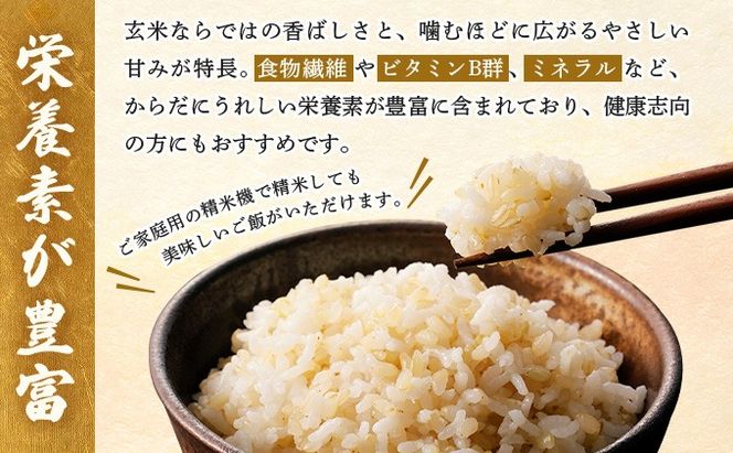【定期便】令和7年産 北海道伊達市産 ななつぼし 玄米 10kg×3回【2025年10月1日発送開始】