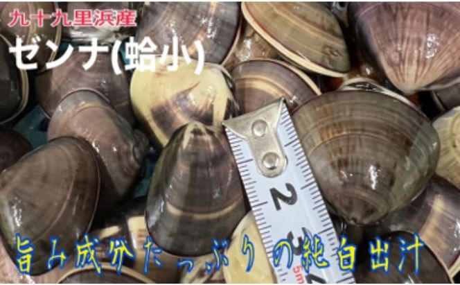 大漁盛りがお得うま味が濃い純白出汁の天然”ゼンナ”冷凍（蛤小）10kg入り 魚貝類 旨み 濃厚な出汁 天然はまぐり 身が厚い 甘み 貝 海の幸 海鮮 国産 九十九里浜産 