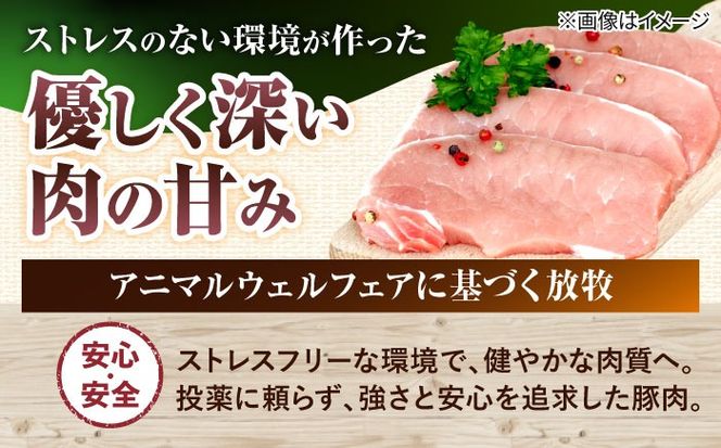 『ハム贅沢セット』 豚肉 ポークステーキ ソーセージ ハム 詰め合わせ お取り寄せ 国産 ギフト 冷凍 沖縄市 / DELICATESSEN NUCHIBUTA [BCAR007]