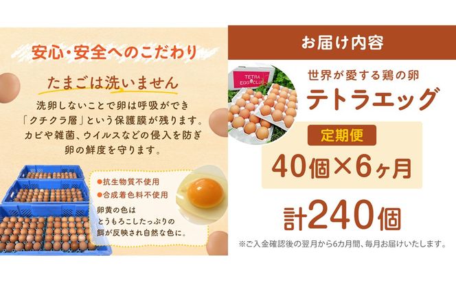 【F8-004】テトラエッグ(40個/月)【6ヵ月定期便】