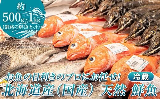 お魚の目利きのプロにお任せ！北海道産（国産） 天然 鮮魚 約500g～1kg（釧路の鮮魚セット）産地直送 冷蔵 冷蔵便 刺身 セット 鮮魚セット 鮮魚ボックス 北海道 釧路町 釧路超 特産品　121-1262-142-001