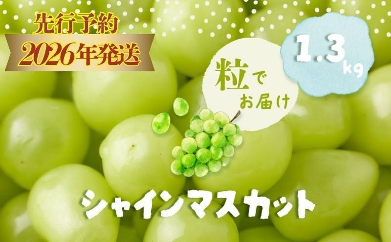 [2026年先行予約]シャインマスカット 約1.3kg(粒)FB022 |シャインマスカット ぶどう 葡萄 ブドウ 山梨県 都留市 くだもの 果物 フルーツ 大人気 送料無料 粒のまま