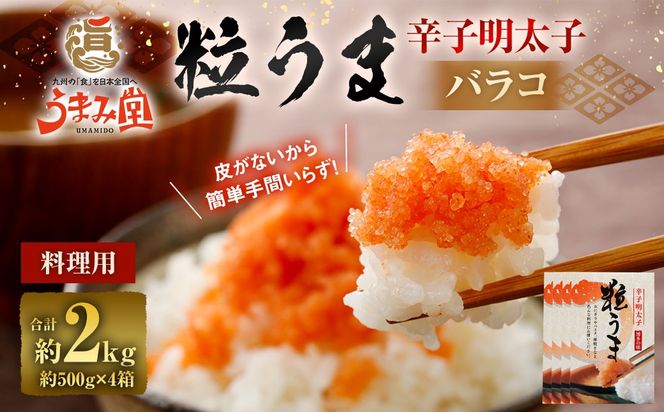 うまみ堂 粒うま 料理用 辛子明太子 バラコ 2kg （500g×4箱） 辛子明太子 辛子めんたいこ 明太子 めんたいこ ばらこ ふるさと納税 おすすめ 冷凍