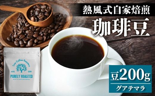 【完全受注焙煎】Tree Coffee Roasters「グアテマラ エスエイチビー カフェピューマ ハイロースト」 200g - コーヒー 豆 こだわり 自家焙煎 コーヒー豆 熱風式焙煎 本格 贈り物 おすすめ 人気 沖縄県 八重瀬町