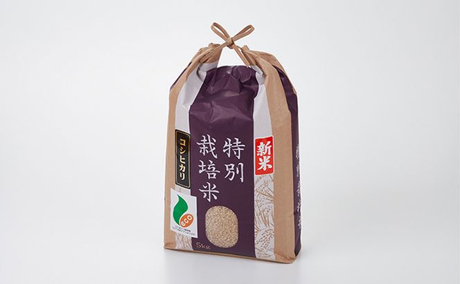  【令和7年度産】加賀百万石特別栽培米コシヒカリ玄米5kg 