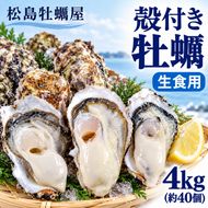 【先行予約の生牡蠣】殻付き 牡蠣 生食用 4kg (約40個) 宮城県産 送料無料 生牡蠣 かき カキ 牡蛎 松島牡蠣屋 産地直送 ふるさと納税 魚介類 バーベキュー BBQ ギフト