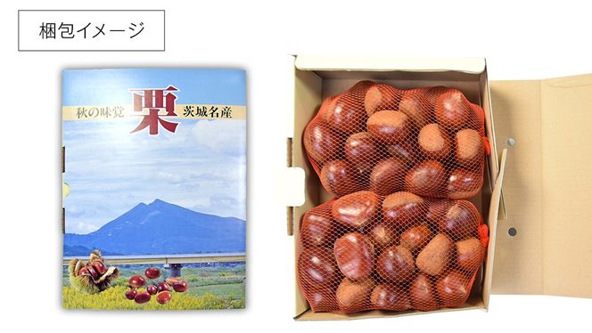 【 谷口農場 】 つやつや 大粒 熟成 生栗 2kg ( 3Lサイズ ) 完熟 栗 くり クリ 栗ごはん 果物 フルーツ　数量限定 [EC001ci]