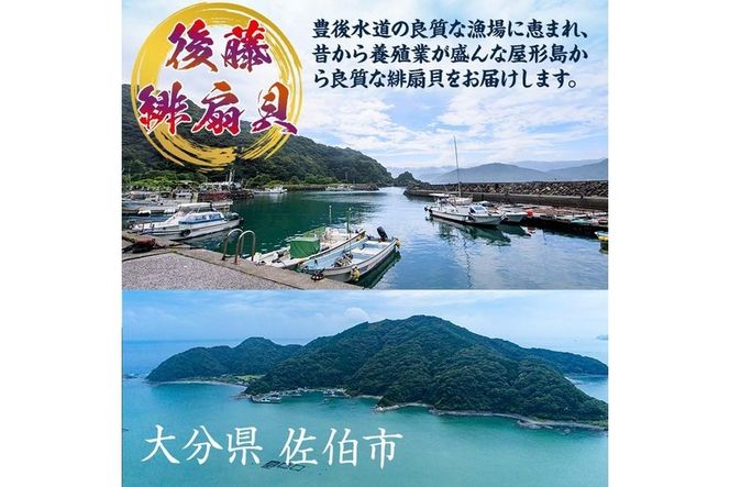 緋扇貝 (計18枚) 海鮮 ヒオウギ貝 BBQ バーベキュー 炭火焼 酒蒸し ご当地 国産 大分県 佐伯市産  屋形島で後藤さんが育てた緋扇貝 大分県 佐伯市【AX61】【後藤緋扇養殖販売】