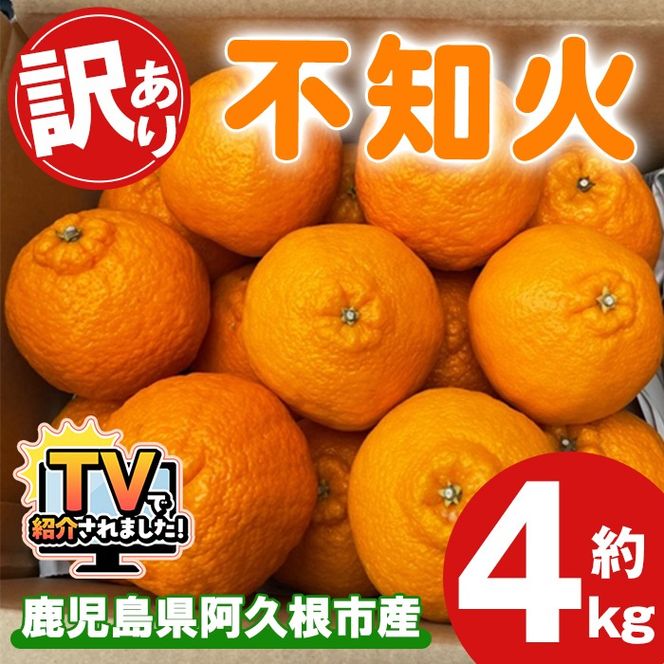 ＜先行予約受付中！2026年3月上旬以降順次発送予定＞訳あり！露地栽培の不知火(4kg：大将季) 国産 不知火 しらぬい 柑橘 果物 フルーツ デザート 露地 果実 期間限定 数量限定【古田果樹園】akn093-07