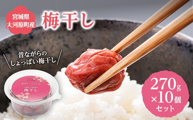 大河原産 昔ながらのすっぱいしそ梅干し 270g 10個セット ご飯のお供に 梅干し 梅干 うめぼし ウメボシ 梅 ごはんのお供 ご飯のお供 おにぎり 弁当 お弁当