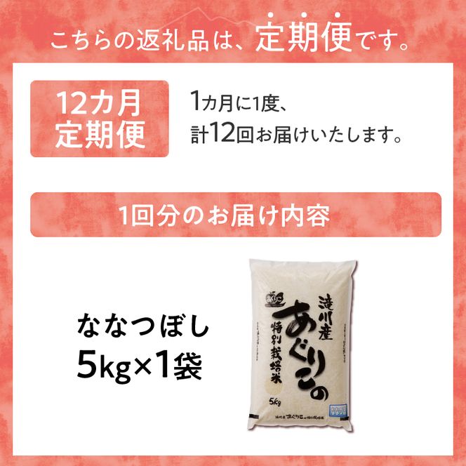 《令和7年産》特別栽培米ななつぼし 5kg×12ヵ月定期便 | 16年連続特A ブランド米 白米 精米 米 お米 こめ 減農薬 単一原料米 ご飯 北海道米 北海道 滝川市