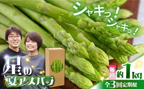 【3回定期便】【2027年6月初回発送】【星のアスパラ】夏のグリーンアスパラガス 約1kg / アスパラ 野菜 / 南島原市 / ほしのYA[SEY014]