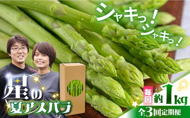 【3回定期便】【2027年6月初回発送】【星のアスパラ】夏のグリーンアスパラガス 約1kg / アスパラ 野菜 / 南島原市 / ほしのYA[SEY014]