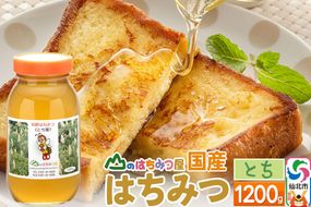 国産 はちみつ トチ 1200g 山のはちみつ屋 [はちみつ ハチミツ 蜂蜜 栃 とち]|02_bsk-070101