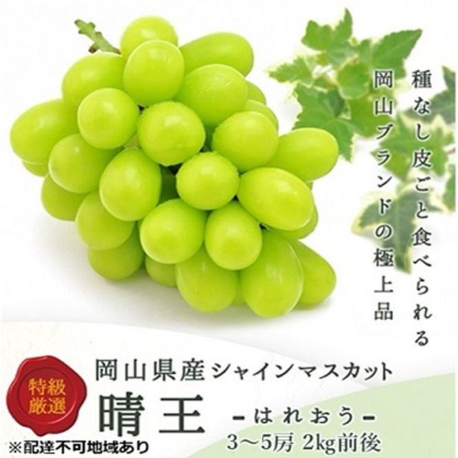 ぶどう 2026年 先行予約 シャイン マスカット 晴王 3～5房 2kg前後 （10月上旬～11月下旬発送分） ブドウ 葡萄  岡山県産 国産 フルーツ 果物 ギフト 岡山のブドウ デザート 食べ物 日本産
