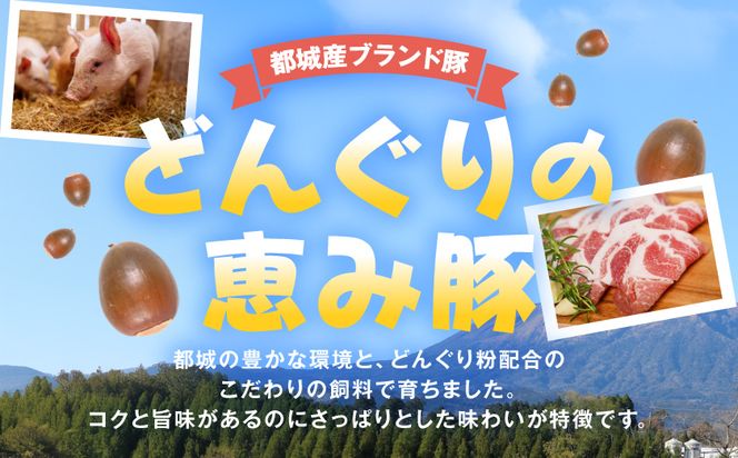 「どんぐりの恵み豚」こま切れ5.1kg_17-1103
