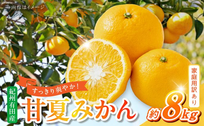 G7362_【2027年先行予約】【ご家庭用】【訳あり】紀州有田産　すっきり爽やか　甘夏みかん　８kg