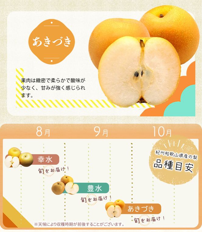 紀州和歌山産の梨 3玉 化粧箱入 ※2026年8月中旬頃〜2026年9月上旬頃に順次発送 ※日付指定不可 梨 なし ナシ 果物 くだもの フルーツ 甘い【uot787】