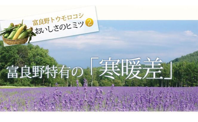 【2026年夏発送】とうもろこし 2種類セット 20本入 生で食べれる ピュアホワイト＆恵味(めぐみ)