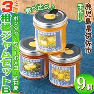 isa682 3種の柑橘ジャム食べ比べセットB(計9個・ボンタン、サワーポメロ、紅甘夏 各140g) 加工食品 果物 フルーツ 詰め合わせ 果肉 柑橘 低糖 ハンドメイド ジャム ギフト マーマレード 【薩摩美食倶楽部】