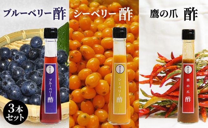 ブルーベリー・シーベリー・鷹の爪の酢 3本セット 北海道 南富良野町 鷹の爪 シーベリー ブルーベリー ベリー 酢 調味料 セット 詰合せ ドレッシング ソース たれ 果実酢 シーベリー 