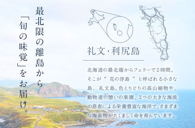 礼文島産 凍結島アワビ Mサイズ 10個 魚貝類 魚介類 鮑利尻昆布 良質 瞬間冷凍 磯の香り コリコリ 獲れたて 甘い 贈り物 