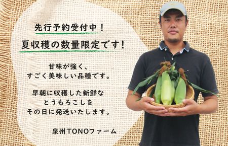 005A060 【先行予約】ゴールドラッシュ 7本【新鮮 野菜 泉佐野産 とうもろこし コーン やさい TONOファーム 高評価 数量限定】