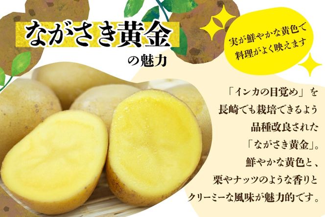 AK077 じゃがいも ながさき黄金 出島 じゃがいも食べ比べセット 計5kg [ 野菜 芋 ジャガイモ じゃがいも 5キロ ほくほく 国産 常備野菜 合同会社YT 長崎県 島原市 ]
