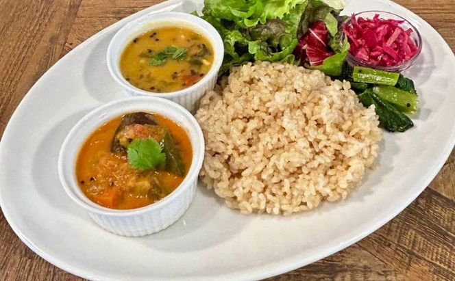 インドカレー VEGAN バラエティ インド カレー 食べ比べ セット 冷凍 レトルト 詰め合わせ 温めるだけ 惣菜 おかず 野菜カレー ヴィーガン 食 ベジタリアン ベジタリアンカレー インド料理 ヘルシー 健康 美容 東京 東京都 墨田区