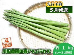 先行予約 2026年 川田農園 アスパラガス 約1kg L～2L 厳選 5月6月発送 アスパラ 野菜 旬の野菜 産地直送 季節の野菜 春野菜 青森 青森県 鰺ヶ沢町