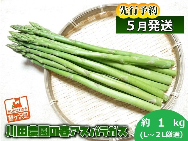 先行予約 2026年 川田農園 アスパラガス 約1kg L～2L 厳選 5月6月発送 アスパラ 野菜 旬の野菜 産地直送 季節の野菜 春野菜 青森 青森県 鰺ヶ沢町