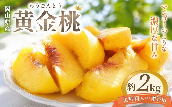 先行予約 岡山県産 黄金桃 2kg 化粧箱入り・贈答用 高級 おうごんとう 花田青果【2026年9月初旬～9月中旬まで順次発送予定】/ 桃 もも モモ 果物フルーツ 贈答品 贈り物 岡山県【hnds009】