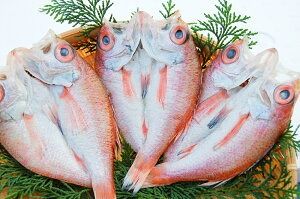 【ふるさと納税】のどぐろ 生冷凍と干物の詰合せ ノドグロ 下処理済 冷凍 干物 セット 詰め合わせ 約120g×3尾 + 60～80g×3枚 魚 魚の干物 煮つけ 塩焼き 海鮮 魚介 兵庫県 新温泉町 送料無料