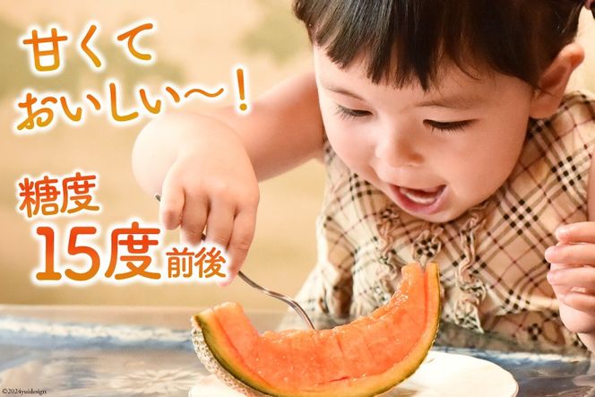 BI114 【令和8年度出荷分】 島原赤肉メロン「マルセイユ」（2L×4玉） [ メロン めろん マルセイユ 赤肉 フルーツ 果物 小原商店 長崎県 島原市 ]