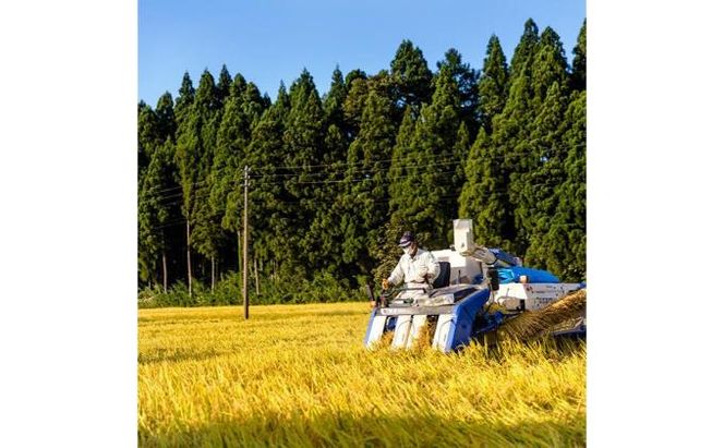 【令和7年産】定期便！魚沼産こだわり従来コシヒカリ【合計120kg】毎月20kg×6回 ブランド米 銘柄米 白米 精米 ご飯 おにぎり お弁当 