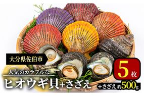 ヒオウギ貝(5枚)とサザエ(約500g) 魚介 貝 ヒオウギ貝 ひおうぎ貝 サザエ さざえ 栄螺 酒蒸し 網焼き バター焼き バーベキュー 獲れたて 冷蔵 海の直売所 大分県 佐伯市【AS121】【海べ (株)】