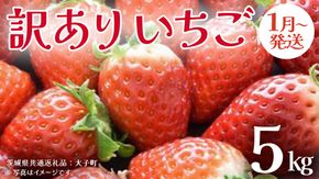訳ありいちご 5kg【2026年1月発送開始】(茨城県共通返礼品：大子町) 苺 果物 フルーツ 果実 ご家庭用	