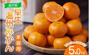 みかん 訳あり品 ご家庭用 たにぐち農園の早生温州みかん(マルチ栽培) 5kg【2025年11月中旬～12月中旬に順次発送】 / わけあり 訳あり ご家庭用 家庭用 不揃い 早生 温州 みかん 蜜柑【mtn007B】