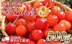 FYN6-250 ≪2026年先行予約≫山形県産 さくらんぼ 品種おまかせ(佐藤錦・紅秀峰など) 500g 秀/L以上 バラパック詰め 2026年6月中旬頃より発送 果物 くだもの フルーツ 夏果実 サクランボ チェリー 桜桃 高級 化粧箱 ギフト箱 贈り物 贈答 ギフト プレゼント 自宅 家庭 産地直送 山形県 西川町 月山