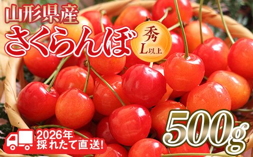 yR`쒬zFYN6-250 2026Ns\R`Y  i킨܂(сEgGȂ) 500g G/Lȏ opbNl 2026N6{蔭 ʕ  t[c ĉʎ TN{ `F[   ϔ Mtg 蕨  Mtg v[g 