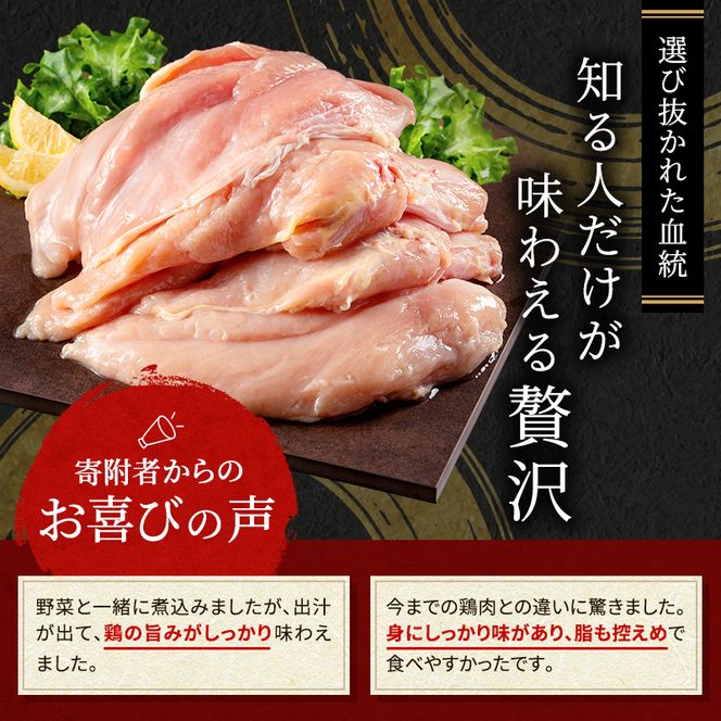 12ヶ月 定期便 地鶏 丹波 黒どり ムネ 2kg 鶏肉 冷凍 丹波山本 高タンパク低カロリー たんぱく質 ボリューム 筋トレ チキン 蒸し鶏 