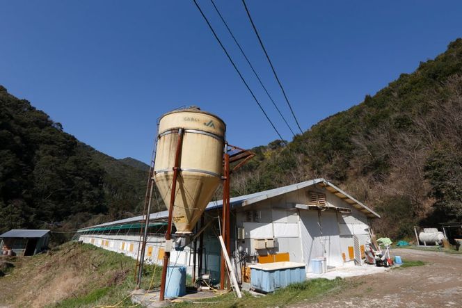 鶏肉 小分け 宮崎県産 ブランド鶏 夢創鶏 もも むね 切身 セット 200g 5p 2種 計2㎏ [英楽 宮崎県 日向市 452061148] むね肉 もも肉 ムネ モモ 鶏