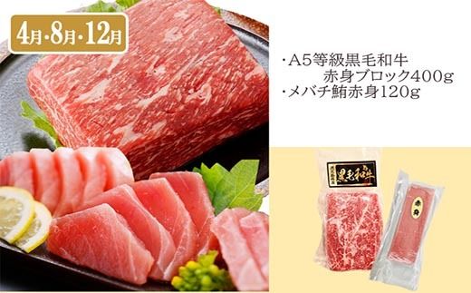 定期便2回配送　黒毛和牛・黒豚　赤身セット　CC0-0013 【1626944】