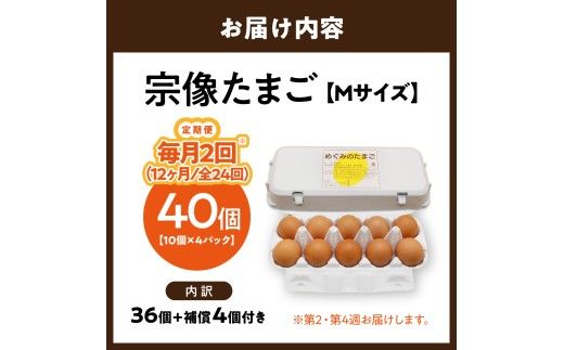 【毎月2回！第2・第4週お届け定期便】新鮮 赤卵「宗像たまご」Mサイズ 40個×12ヶ月定期便 (36個＋補償4個)【JAほたるの里】_HB0218