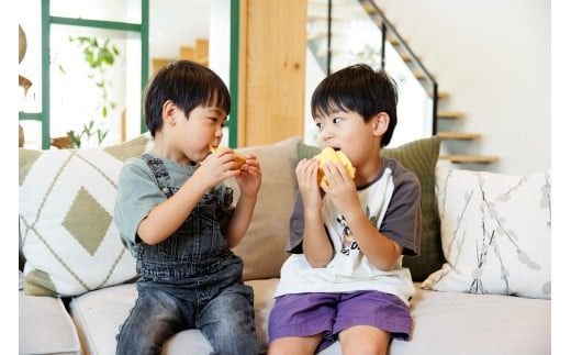 D401 三角チーズサンドパンプレミアム８個入