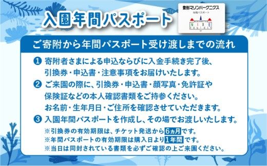登別マリンパークニクス 入場券年間パスポート 大人・子ども 各1名 【 チケット 北海道 観光 旅行 体験 パーク 入場券 入園券 割引 北海道 水族館 動物園 イルカ アシカ ペンギン パレード】mr-0895_96