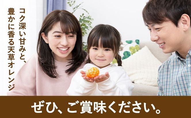 【CF】ハウス追熟 天草オレンジ 選べる内容量 4玉～9玉入 10玉～15玉入 廣畠農園《1月中旬頃出荷予定》徳島県 佐那河内村 みかん ミカン 蜜柑 柑橘 フルーツ 果物 くだもの【配送不可地域あり】※離島---sanagouchi_hhn_5_1hk---