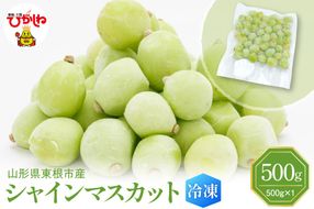 【瞬間冷凍】東根市産 シャインマスカット 500g 東根農産センター提供 hi027-246