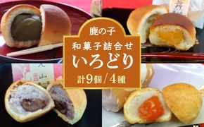 【老舗の菓子屋 鹿の子】和菓子 詰め合わせ「いろどり」4種 9個《築上町》【有限会社 御菓子司 鹿の子】[ABAC011]