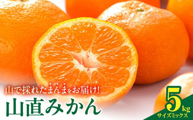 MK1038_【2026年先行予約】みかん 山から直送 箱込 5kg ( 内容量 4.4kg ) 鮮度優先ごろごろ規格 和歌山県産 産地直送 家庭用 【みかんの会】